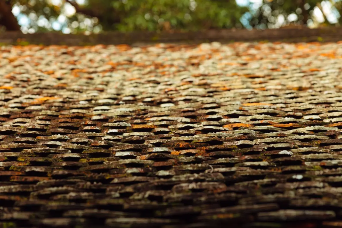 Roof Inspections in Ocala, FL
